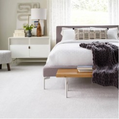 Plush Carpet | Larry Lint Flooring